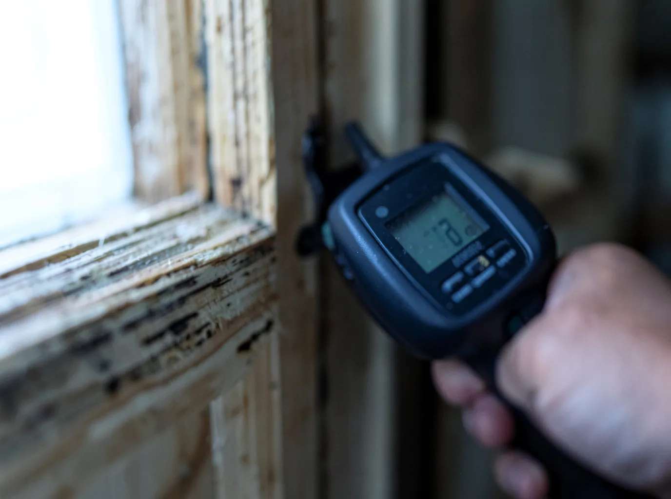 Moisture Inspection And Documentation in Linden, TX